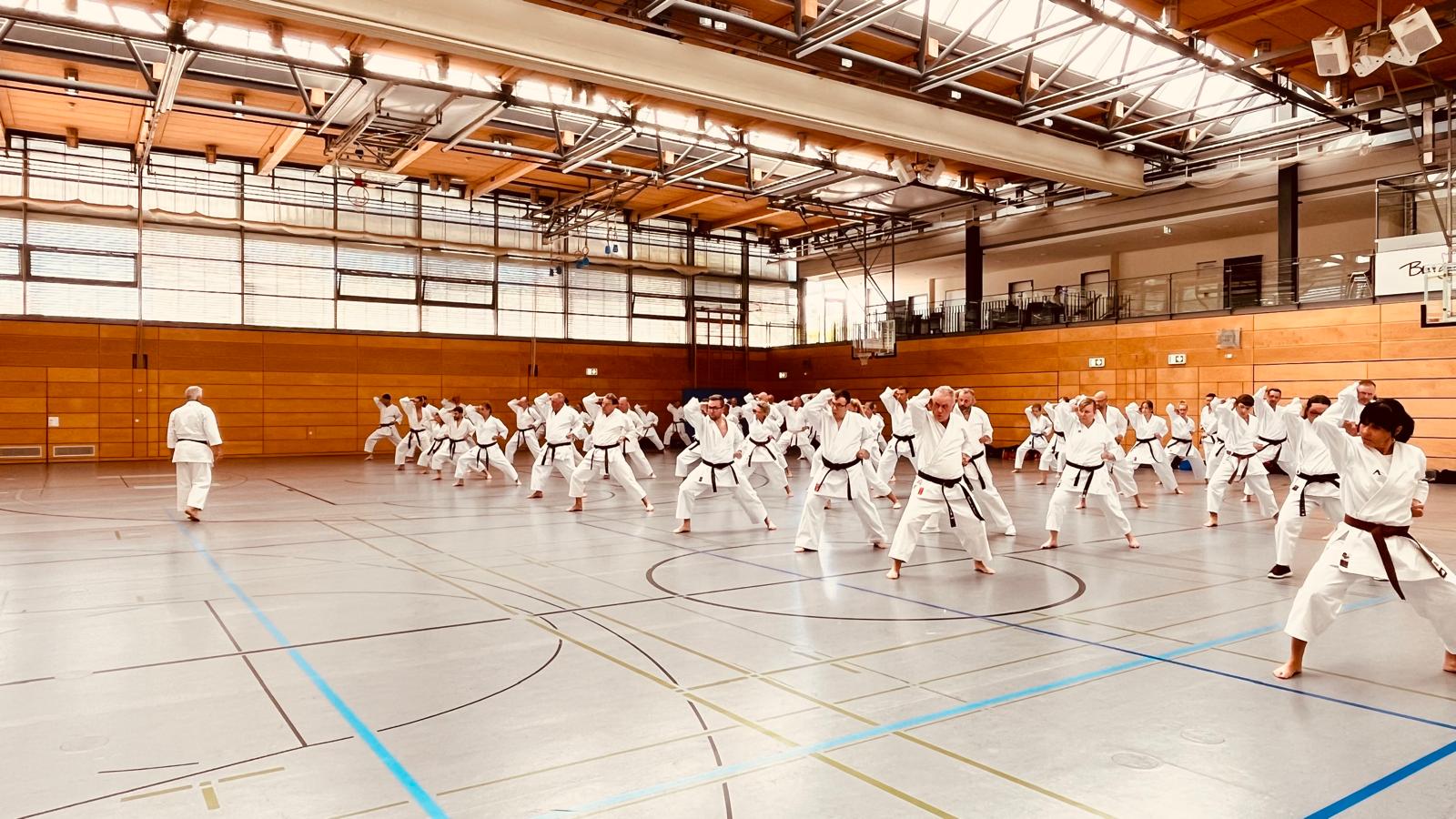 Vergrößerbares Bild